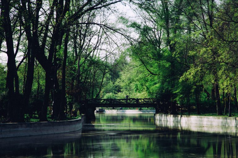 Membagi Kerugian Dalam Mudharabah