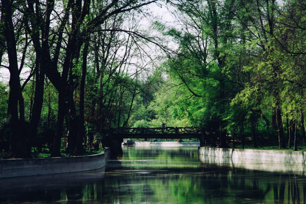 Membagi Kerugian Dalam Mudharabah
