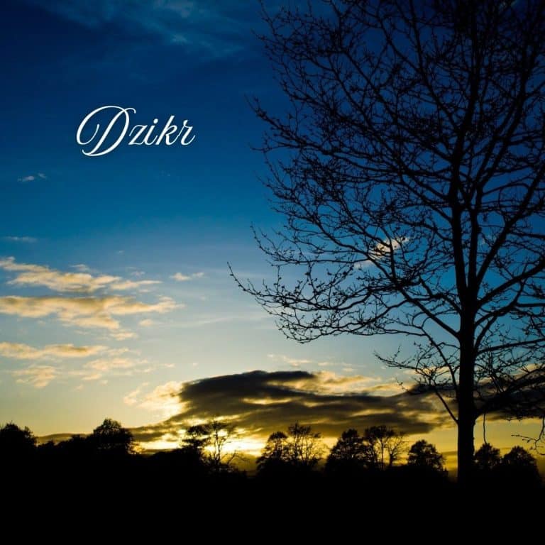 1000 Like dan 1000 Subscriber